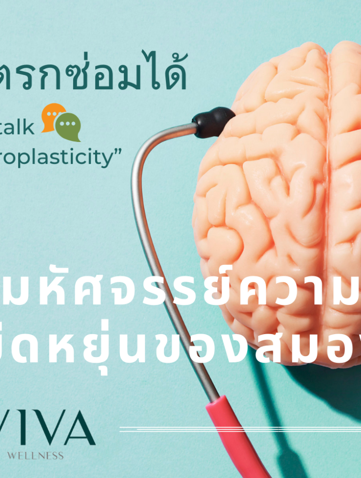 สโตรกซ่อมได้ มหัศจรรย์ความยืดหยุ่นของสมอง (neuroplasticity)