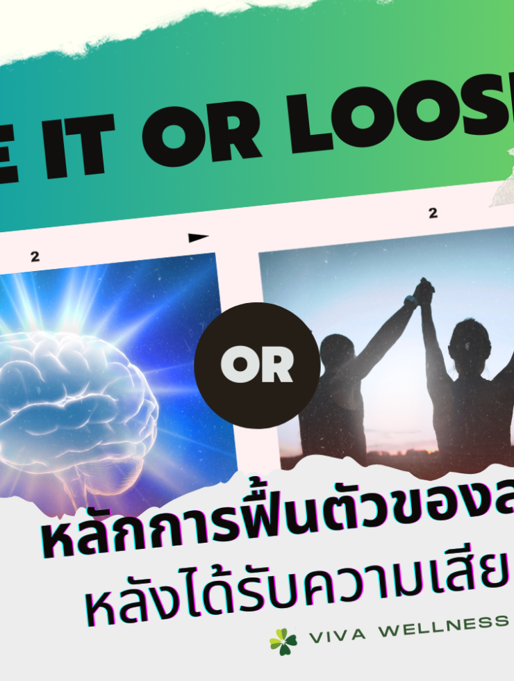 หลักการฟื้นตัวของสมองหลังได้รับความเสียหาย