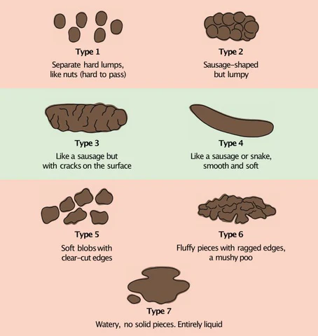 Bristol stool scale