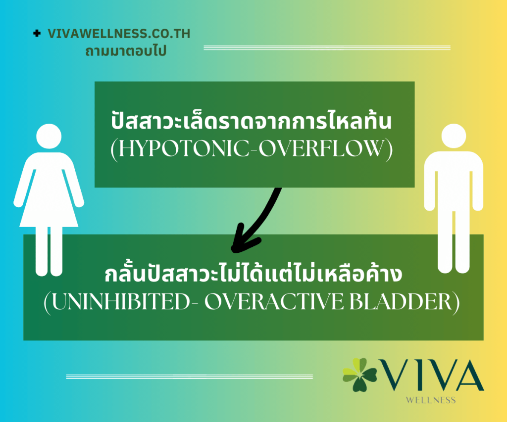 ปัญหาการขับปัสสาวะของผู้ป่วยโรคหลอดเลือดสมอง